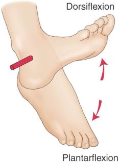 跑者小腿内侧痛,大神级跑者小腿