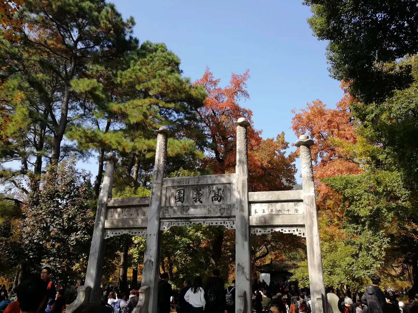 江南的秋天,温柔诗意,漫步姑苏城感受岁月静好,人间值得