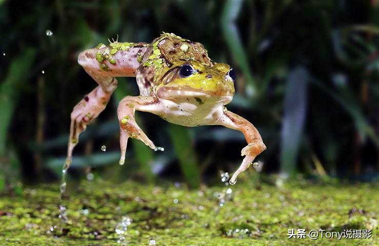深入浅出完整版,深入浅出一文搞懂相机的快门速度