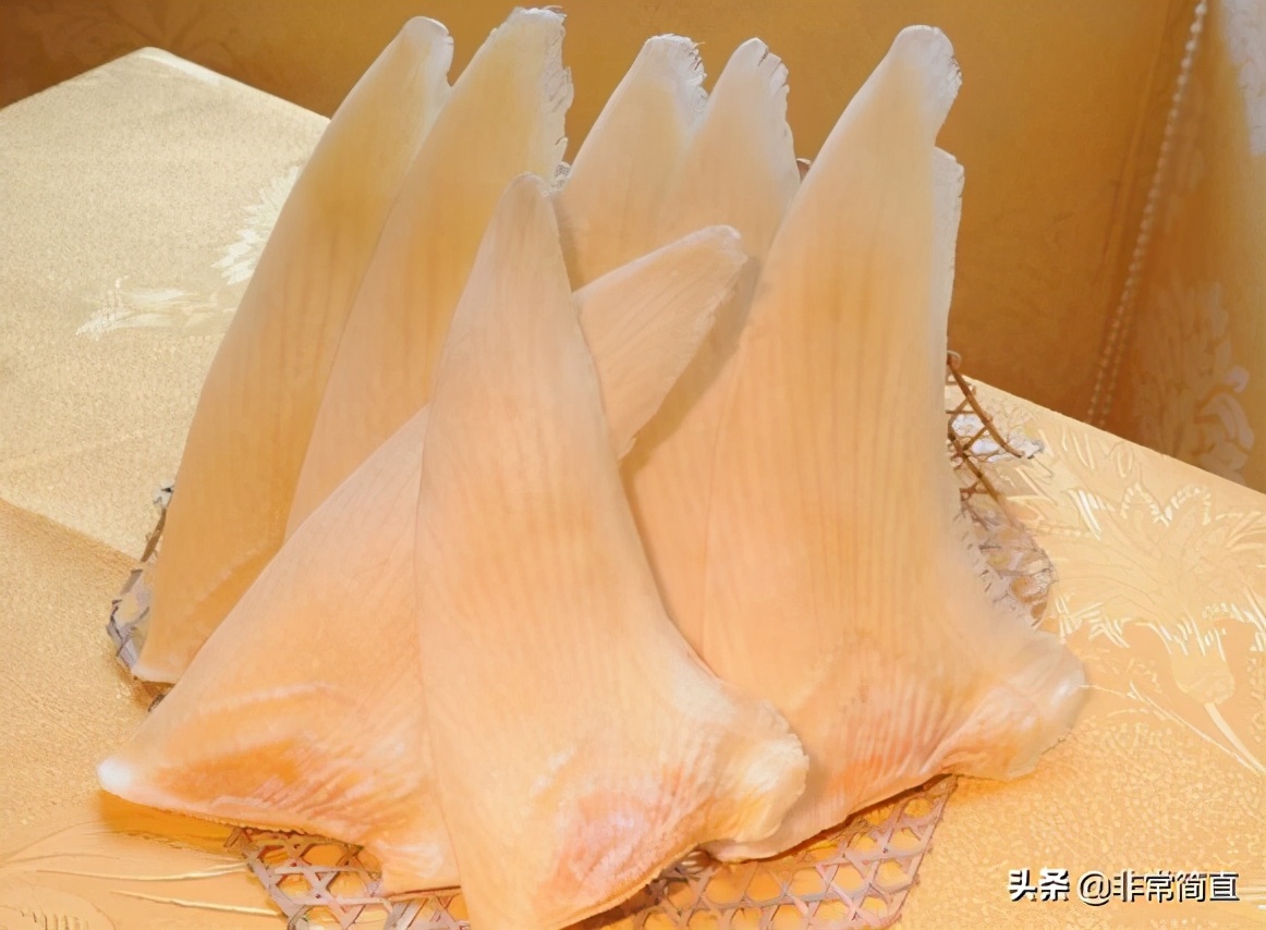 拒绝舌尖上的美食,拒绝舌尖上的浪费的词句