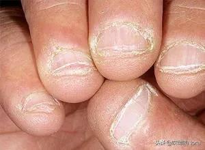 指甲所有款式,指甲全色系推荐