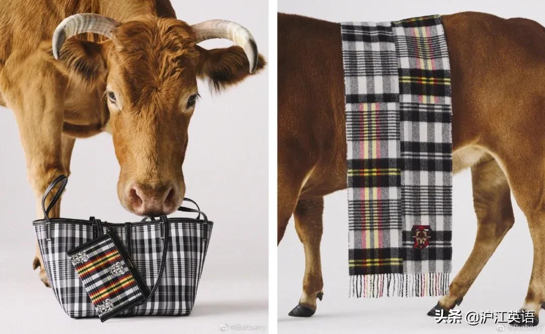 lv新款背心,lv打气背心