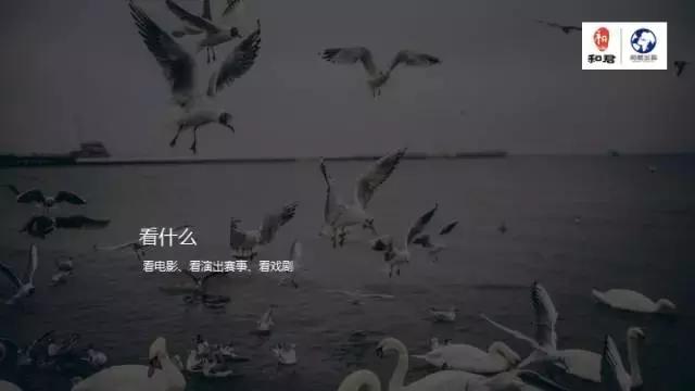 文娱行业地毯扫描:论吃喝玩乐我只服这四个天才!