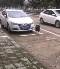 老婆在网上买了件衣服,老婆买了条裙子