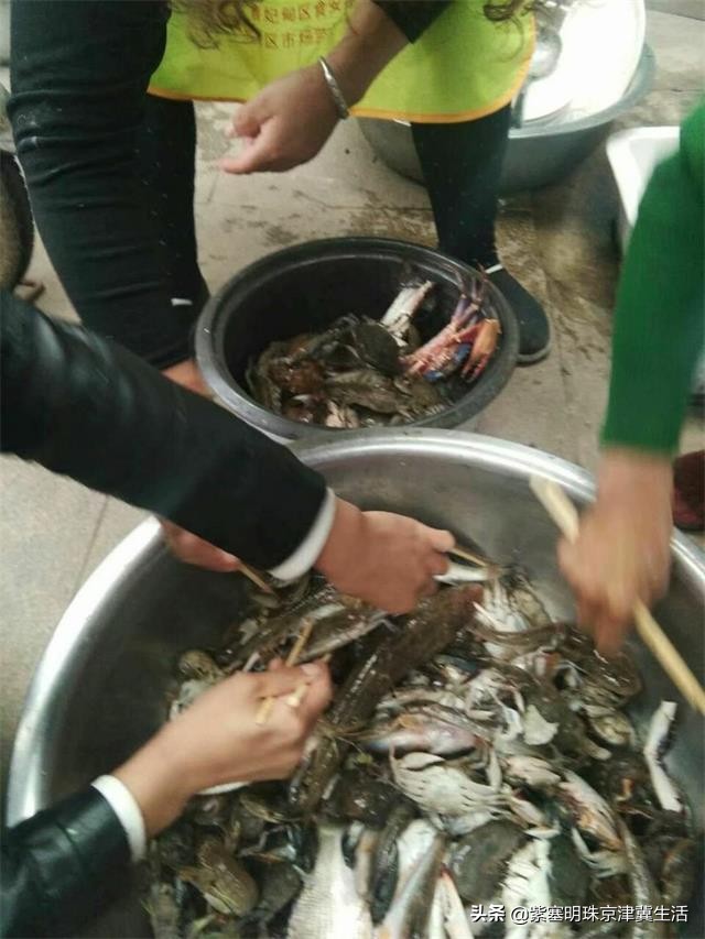 八月别来这座小岛，海鲜吃饱，大海景美唐山月坨岛009号别墅农家