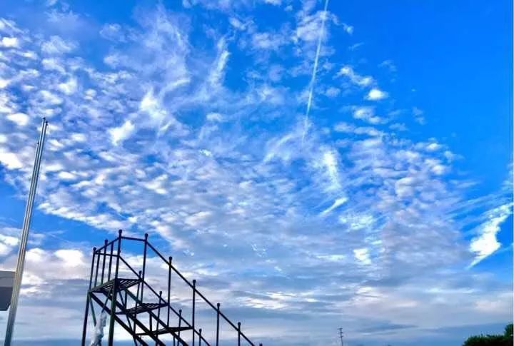 武汉市十大美丽中学,武汉十大美丽学校