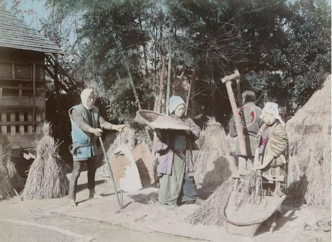日本积极发展海外屯田的原因,中国海外屯田情况
