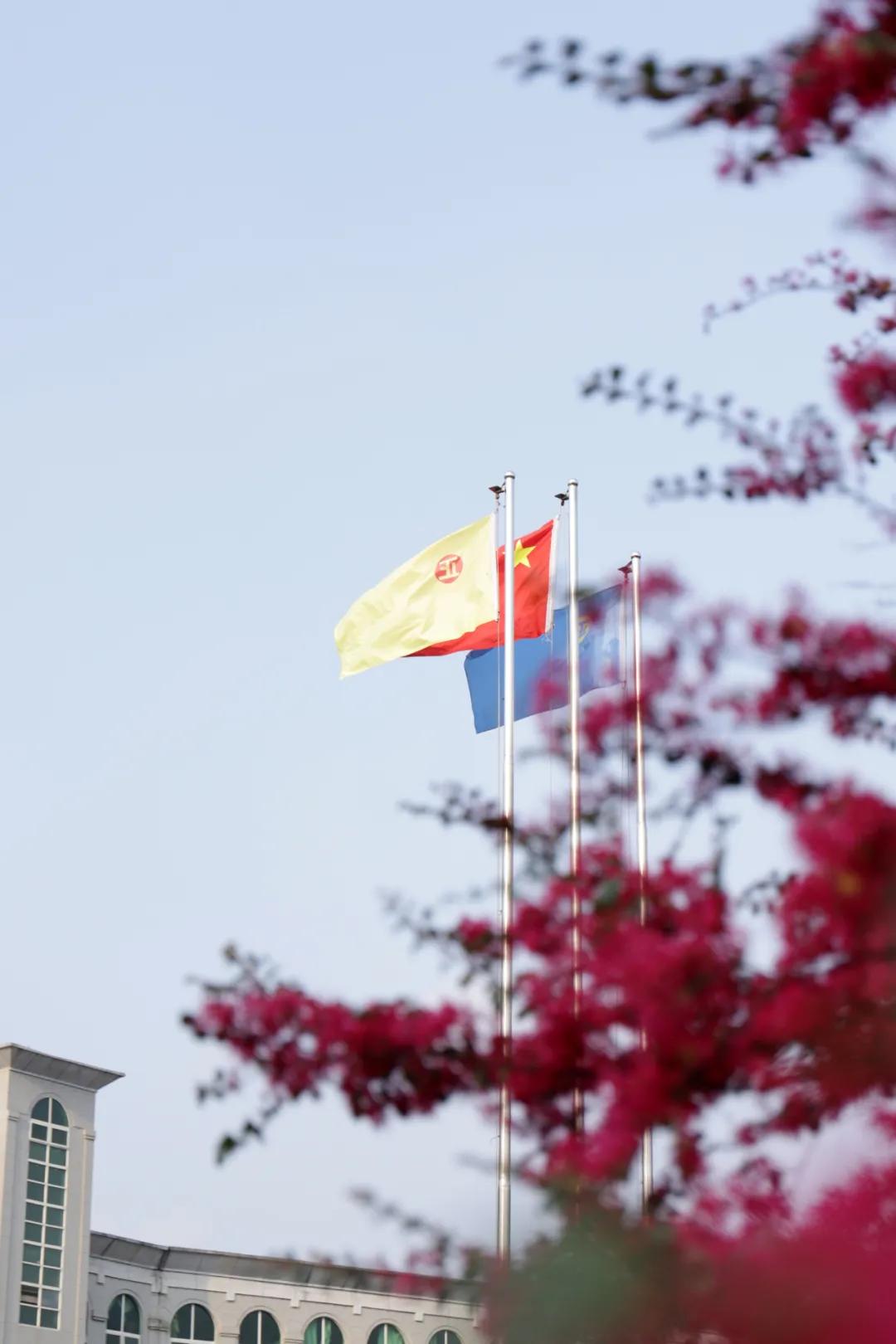 迎接校园里的百花齐放,教室窗外百花齐放