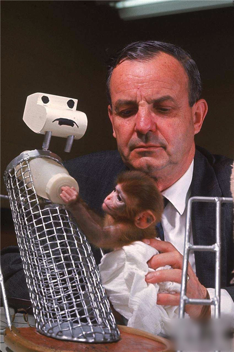 涨姿势世界七大著名心理学效应,动物都可能得抑郁症吗