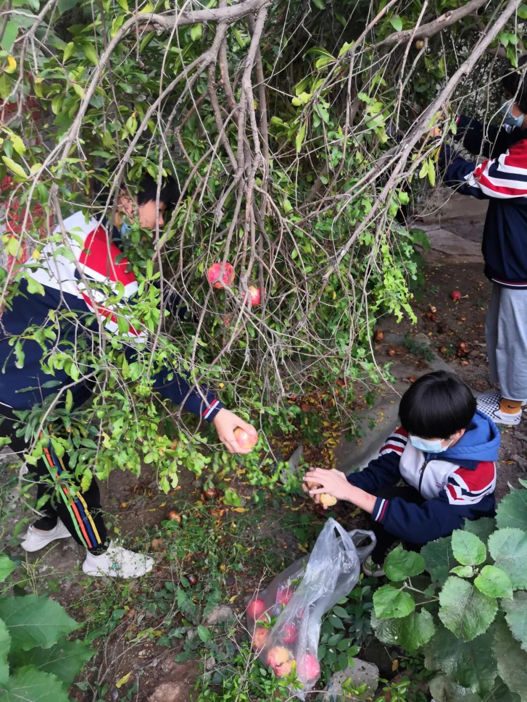 邯郸教育动态,邯郸市教育观察