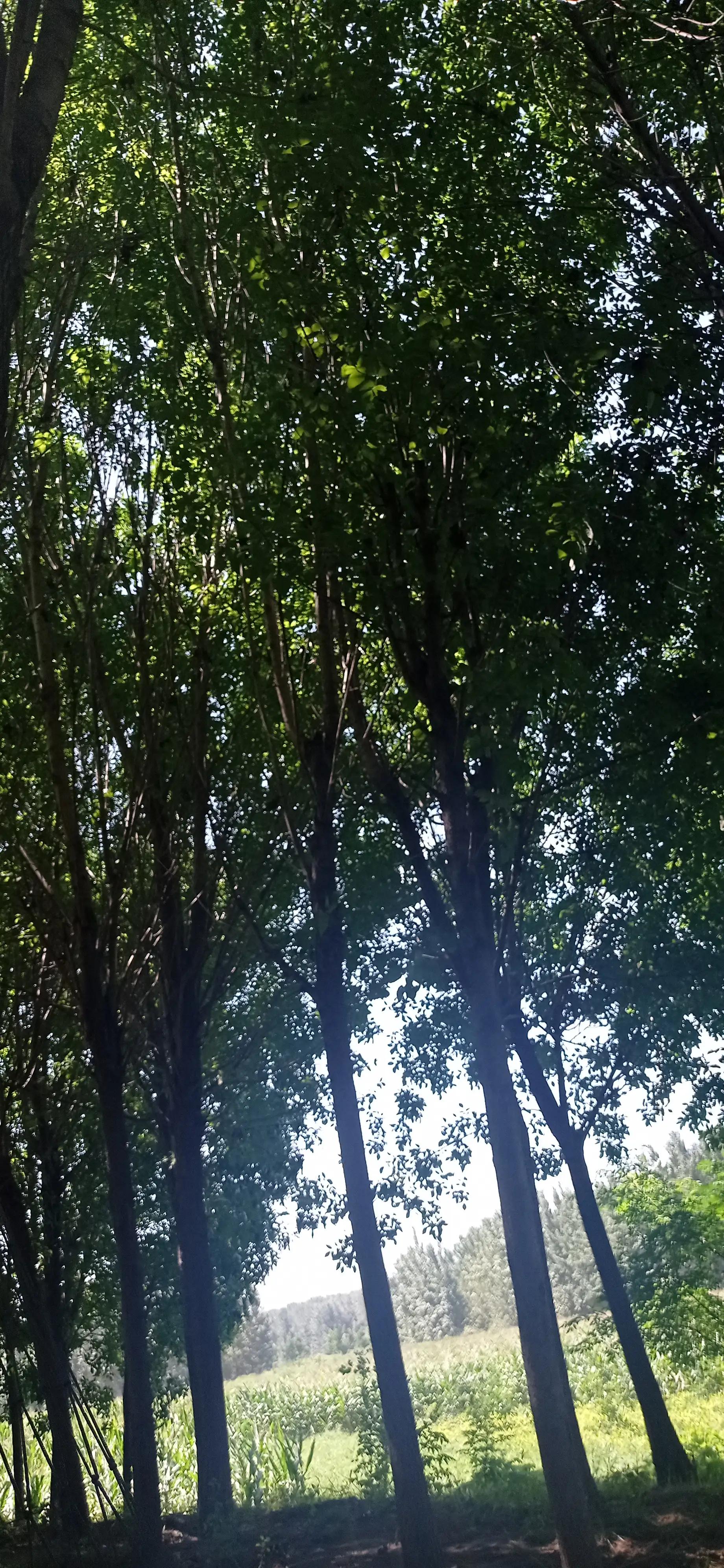 尿路结石间歇性血尿注意什么,出现血尿吃什么药