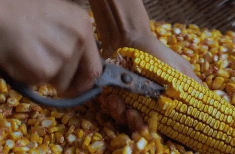 她凭“中华之美”圈粉海外，却被国内网民骂成筛子