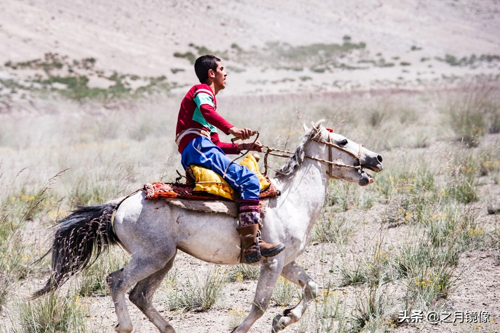 铁血雄鹰全剧,铁血雄鹰全文阅读