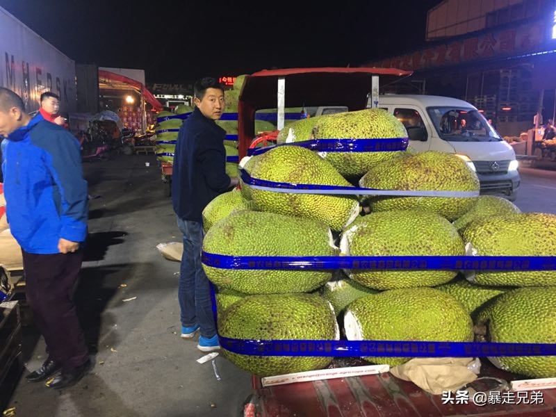 成都最大的水果市场,成都凌晨蔬菜批发市场