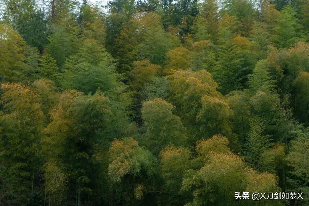 沪外游集：“华东香格里拉”-公盂村春季徒步