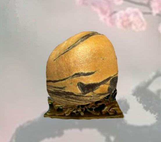 都是些什么“鸟石”？保证有你好看