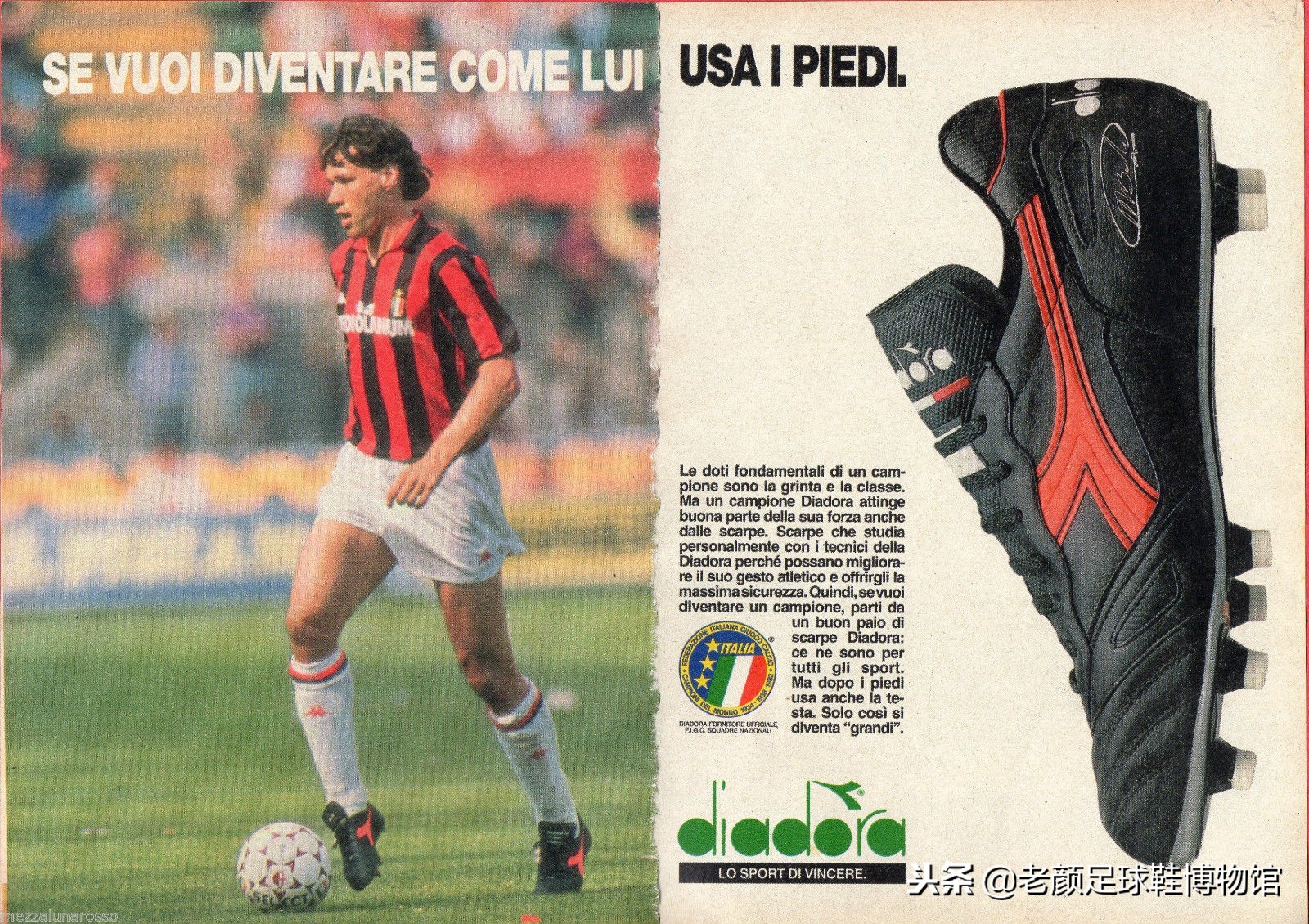 苦等许多年结局,苦等了几十年