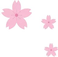 揭秘！天津路这家店，门口停满豪车！还不时有各种靓丽女子进出.