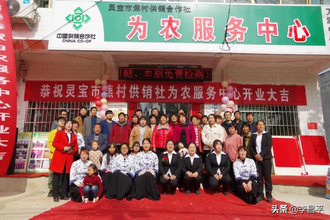 罗家村股份经济合作社,灵宝市罗家河果品专业合作社