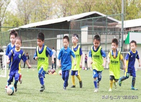 中国足球青训之殇视频,足球之殇