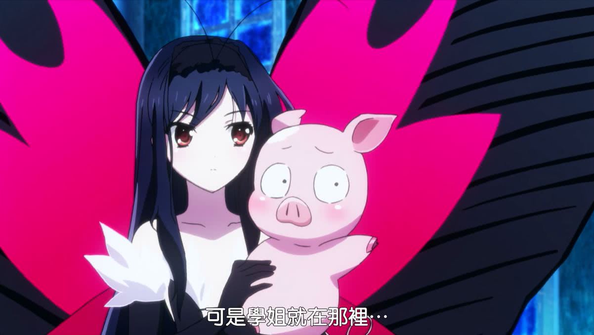 二次元的学姐作品,二次元中的学姐