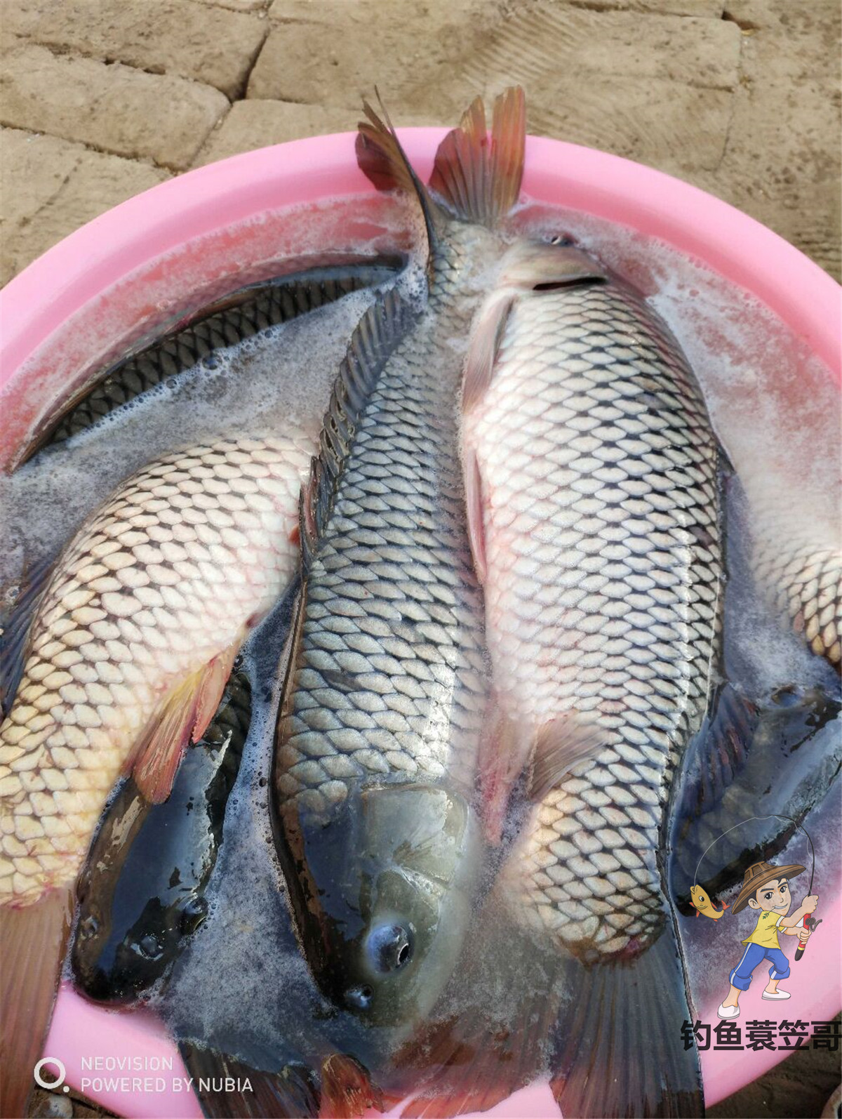 钓鱼技巧野外夜钓的三个选位技巧,钓鱼技巧如何钓黑坑鱼儿