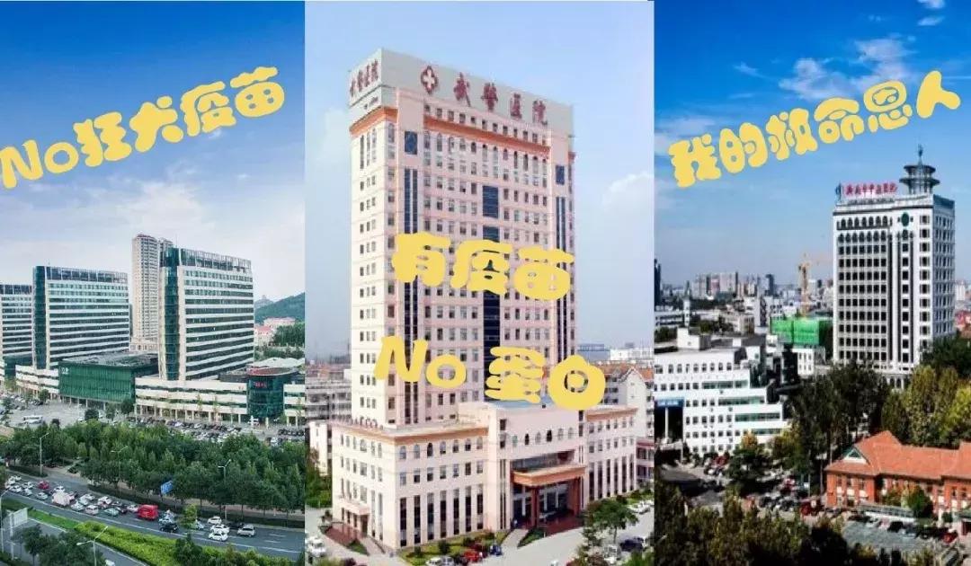 被狗咬了疫苗要打哪里,被狂犬狗咬了怎么办