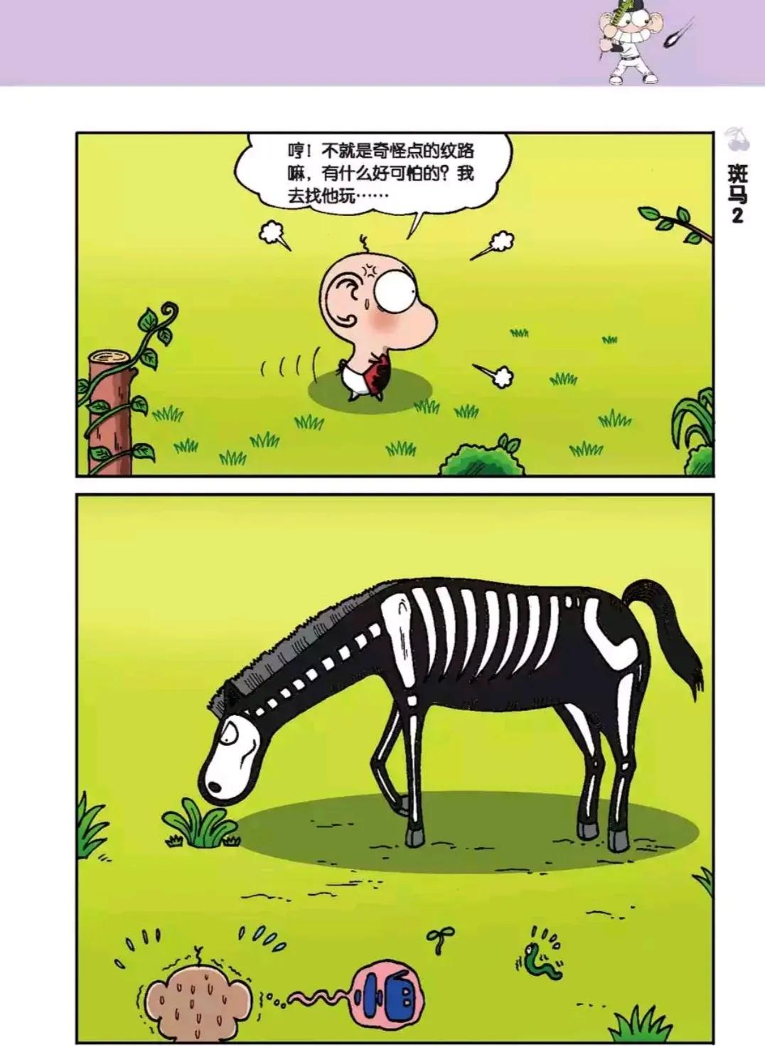 呆头的蜂鸟是怎样的