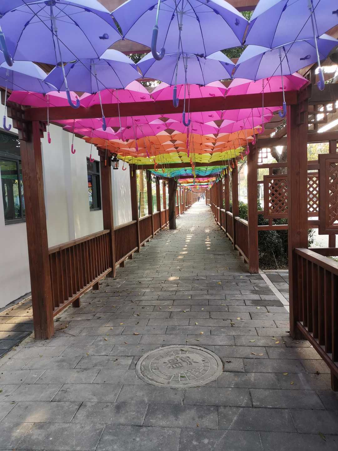 厦门市天竺山一日游,厦门天竺山攻略