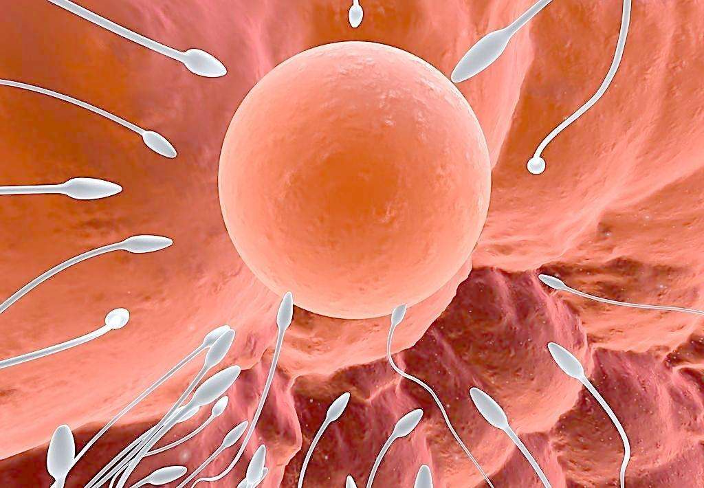 同房后倒立,能提高受孕几率?别让谣言祸害了,这样做才科学