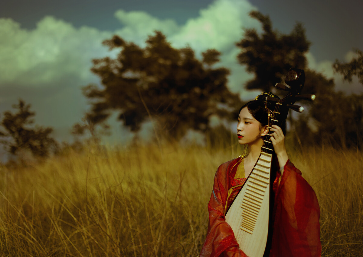 中国最好的弦乐器,盘点中国十大弦乐器你知道几种