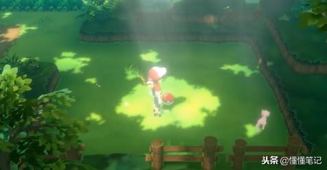 精灵宝可梦不为人知的秘密,精灵宝可梦的寿命有多长