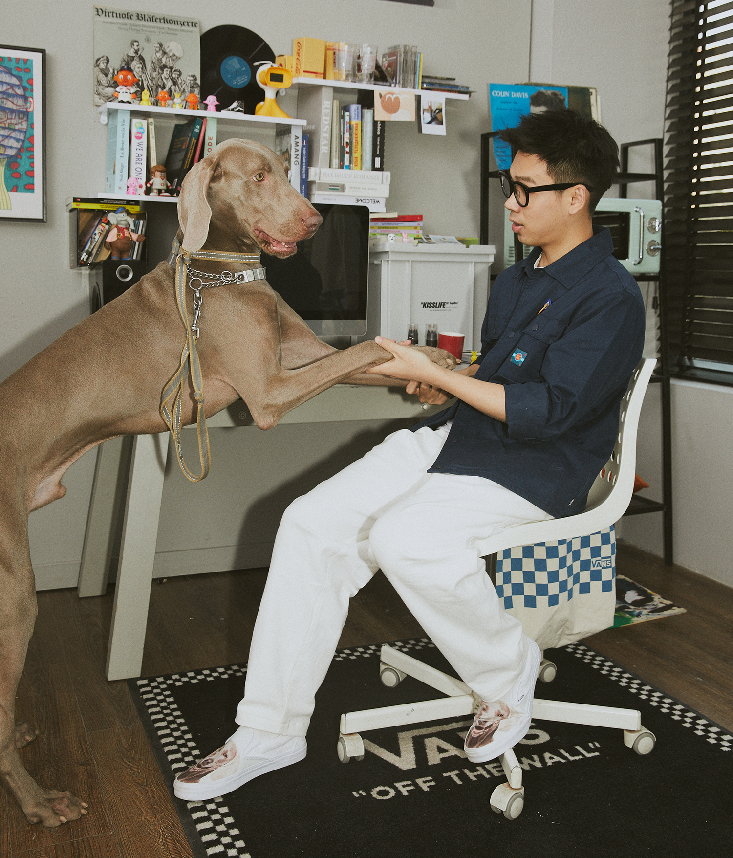 vans有话说,vans的高帮鞋好难穿