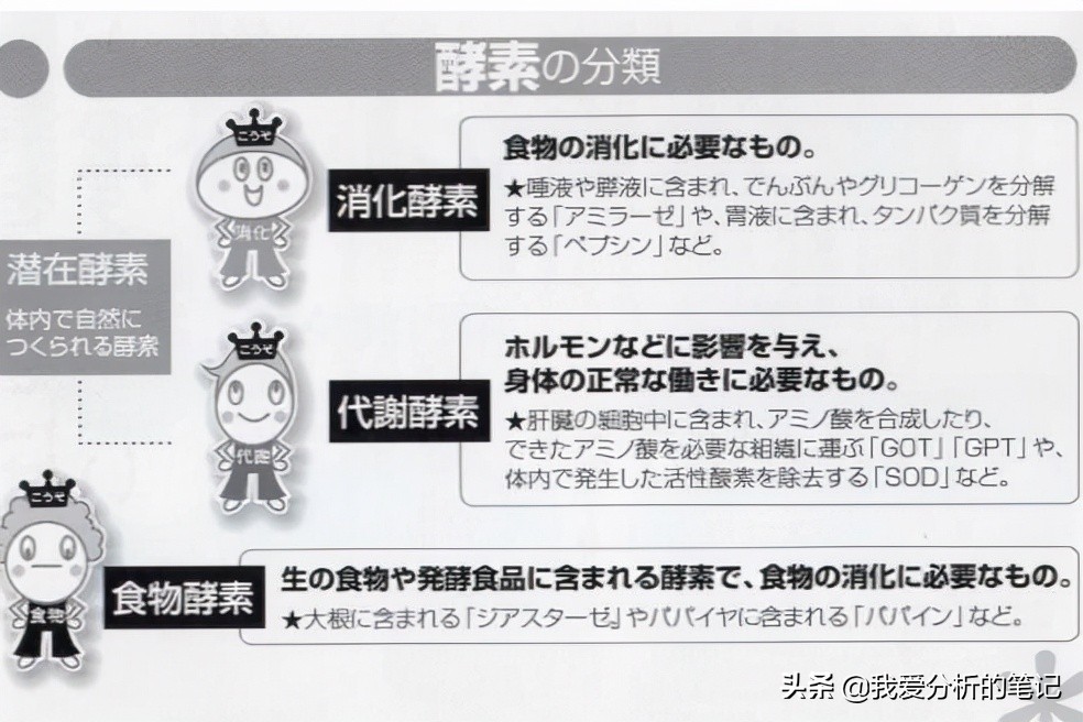 酵素的市场需求和痛点,酵素产品价格现状与预测