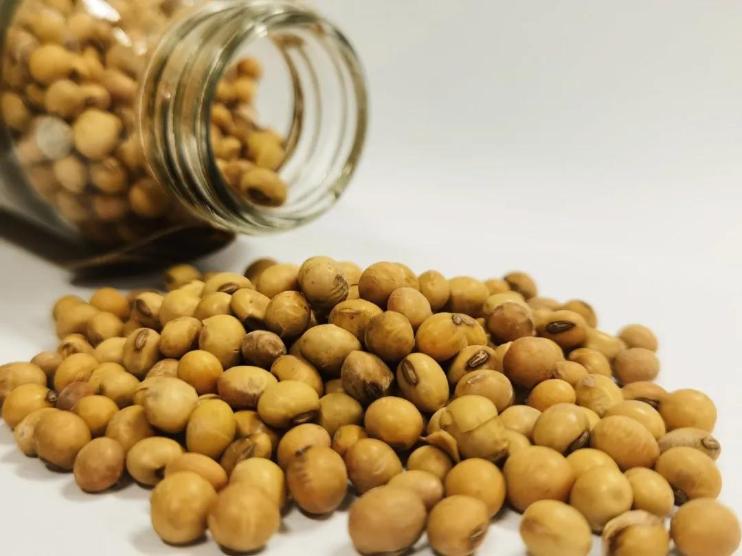 浪漫的期货,有一种浪漫叫数学