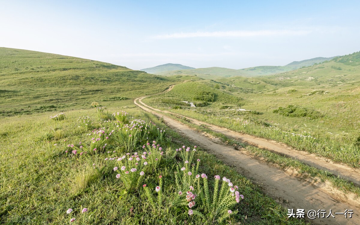 华北最大的亚高山草甸圣王坪,华北最大的亚高山草甸
