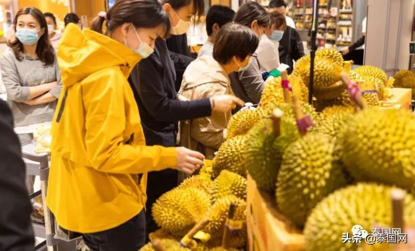 普吉五千多阳性！当局：为了百亿旅业创收，患者自己在家隔离就好