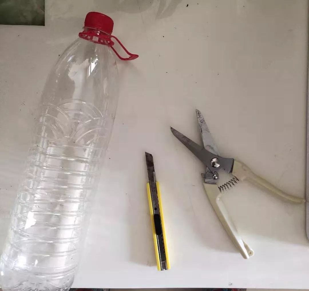 如何利用废弃的塑料瓶养花,可乐瓶养花神器