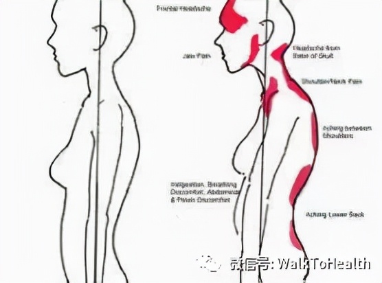 别让口呼吸毁掉你的颜值,脸毁了怎么补救