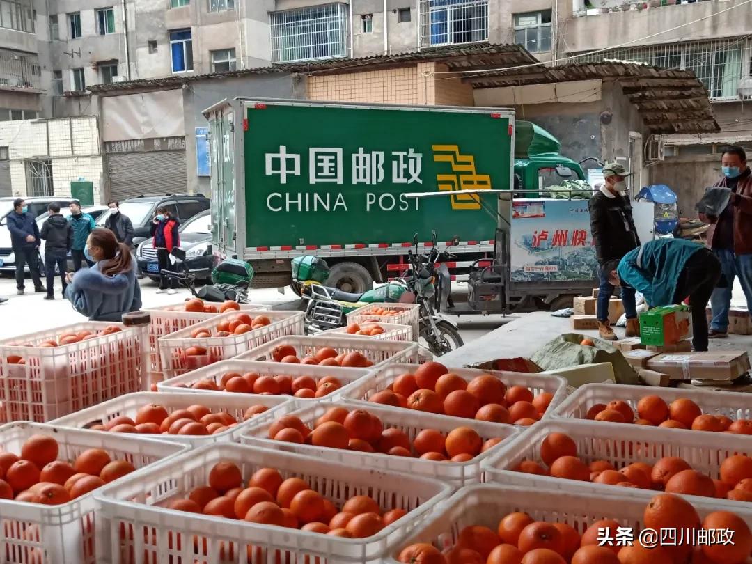 山外有山蔺州远，惠农助农“邮”办法