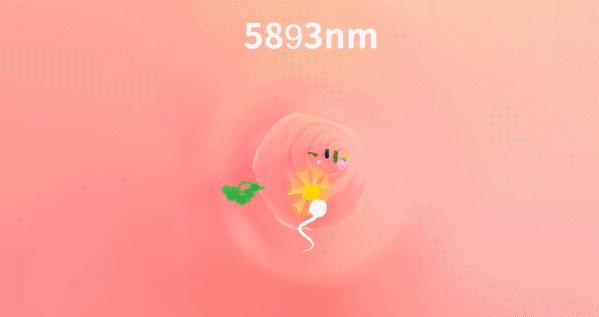 gys是什么游戏,游戏里gyg是什么意思