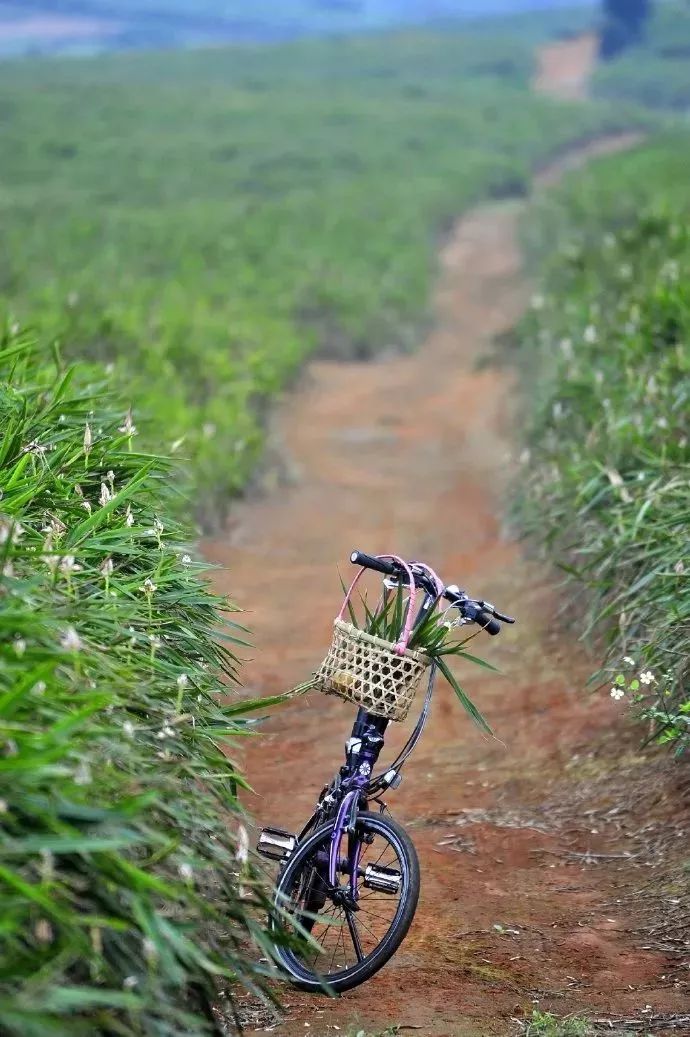 距海南仅20km，这个处女地比台湾风情、比三亚便宜，你错过了吗？