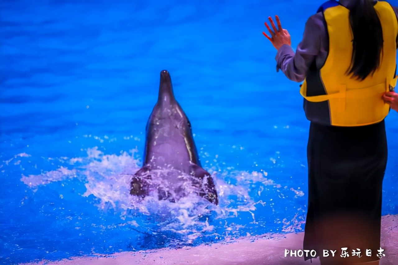 来珠海亲子必打卡景点，人工飘雪海洋动物表演，最适合周末亲子游
