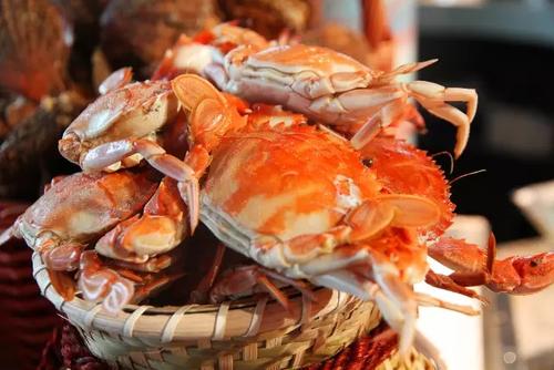 吃不完的螃蟹不要直接放冰箱,吃不完的螃蟹可以放冰箱保鲜吗