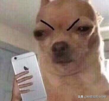 网红面膜产品打假测评,芮一面膜有激素超标吗