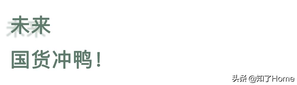 宅家必备神器,无法想象的豪华宅家必备神器