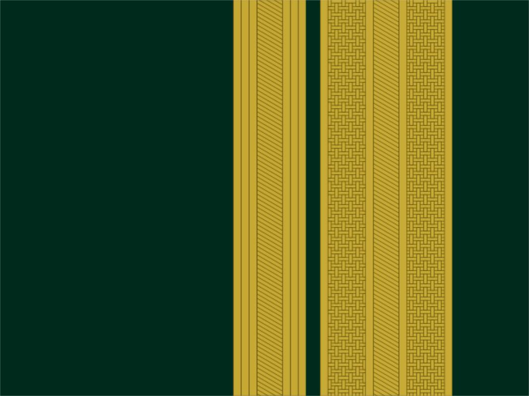 各国军队标识葡萄牙陆军,各国军衔标识葡萄牙