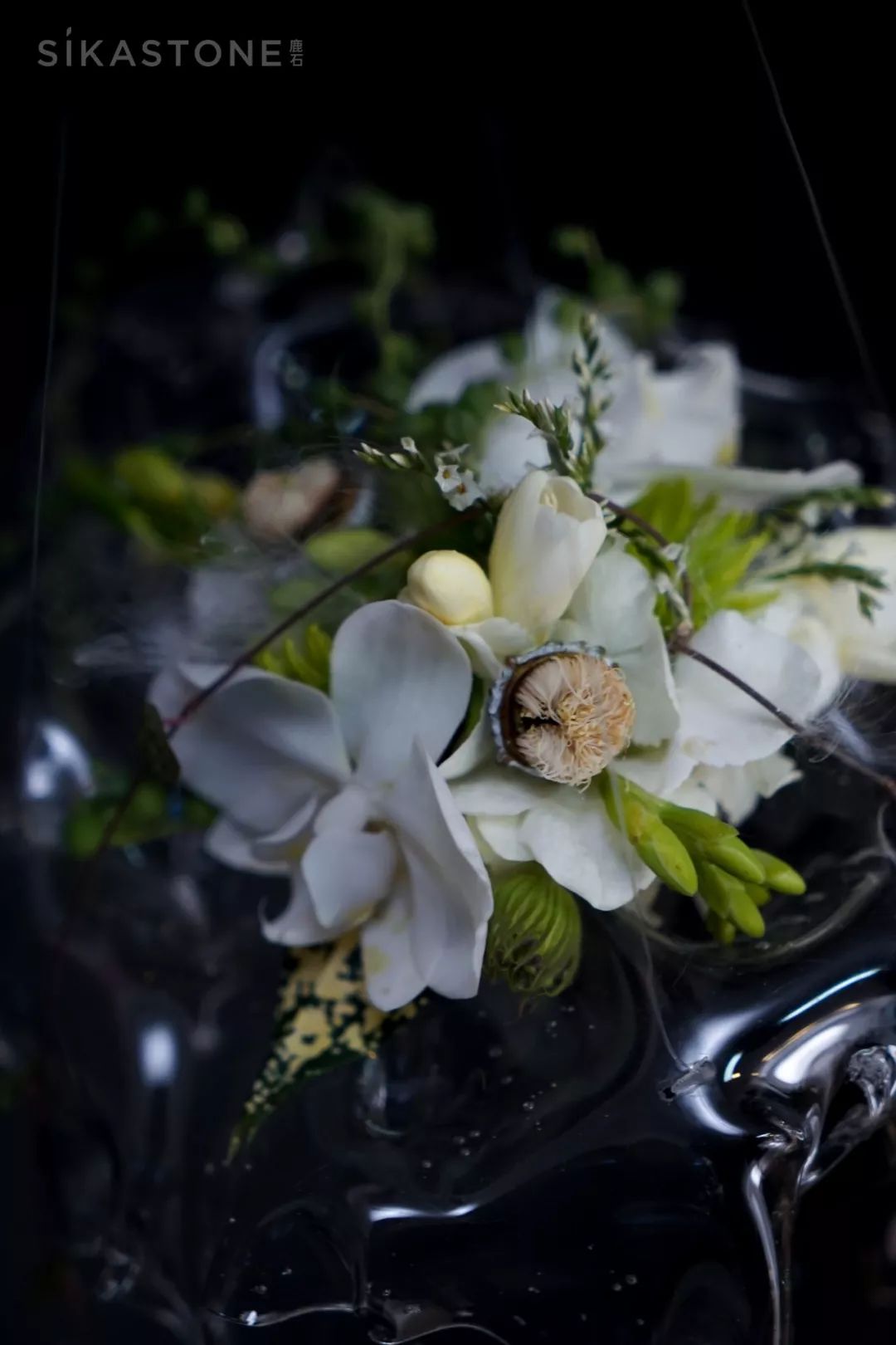 开箱测评葡萄酒,开箱测评行李箱