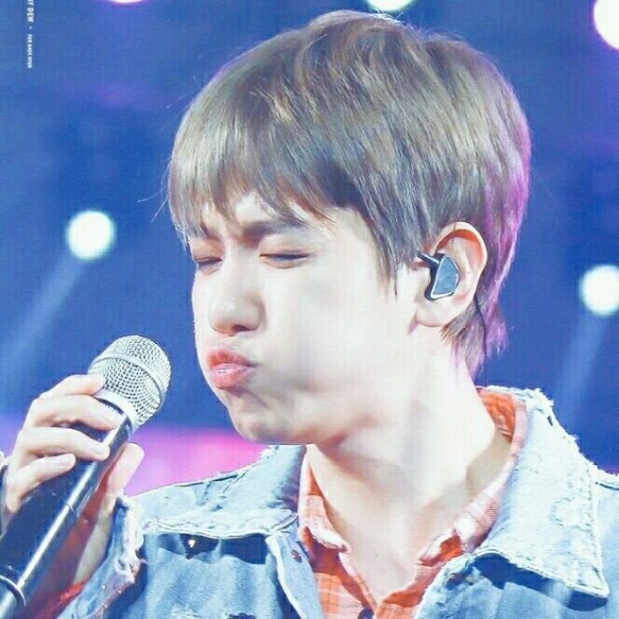 动物系内娱男爱豆,动物系爱豆完整版