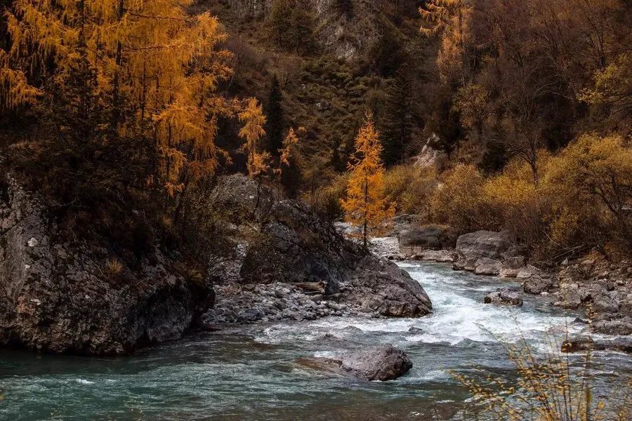 销售假冒注册商标的商品案判例,销售假冒注册商标商品罪审判案例